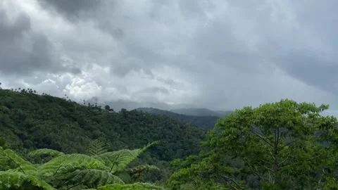 View from the mountain. the forest is still beautiful. Stock Footage 284083308