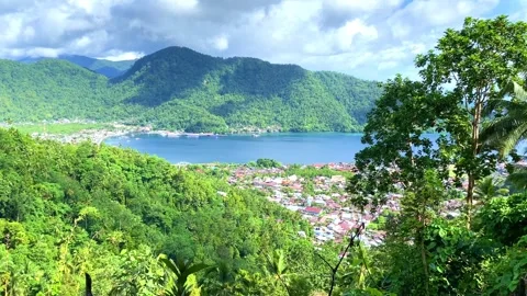 View from the mountain. the forest is still beautiful. Stock Footage 284083608