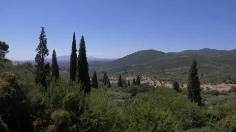 View of mountain hills with olive treesse in countryside in Messinia, Greece. Stock Footage 247279479