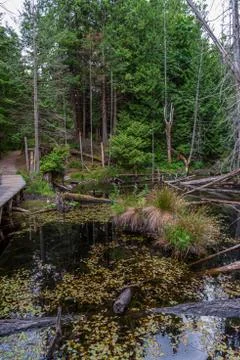 View at Mountain Lake with Dramatic Clouds in British Columbia, Canada. Foto stock