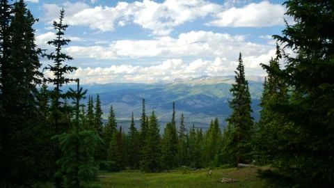 View of Mountain Landscape in the forest Stock Photos