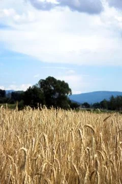 View on mountain landscape Stock Photos