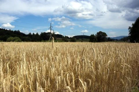 View on mountain landscape Stock Photos