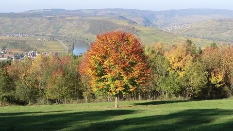 View from mountain at Mosel river Germany Stock Footage 81143441