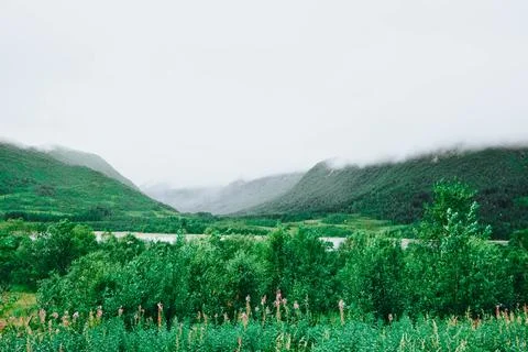 View from Mountain in Norway Stock Photos