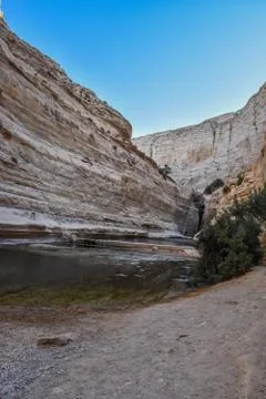 View of mountain oasis lagoon, Ein Avdat, Israel Stock Photos