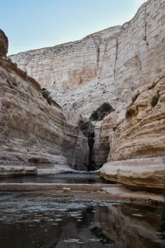 View of mountain oasis lagoon, Ein Avdat, Israel Stock Photos