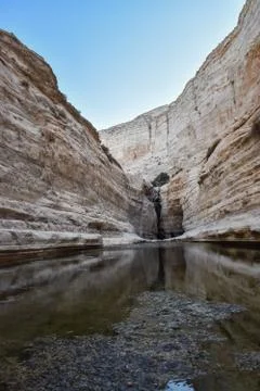 View of mountain oasis lagoon, Ein Avdat, Israel Stock Photos