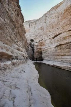 View of mountain oasis lagoon, Ein Avdat, Israel Stock Photos