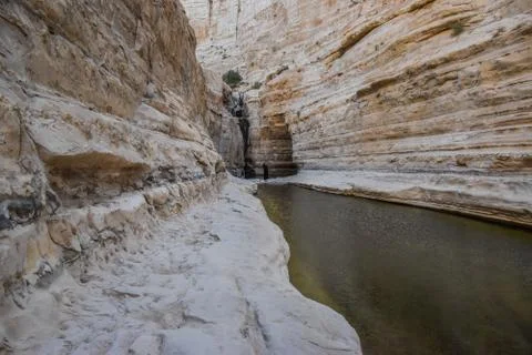 View of mountain oasis lagoon, Ein Avdat, Israel Stock Photos