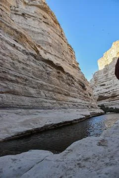 View of mountain oasis lagoon, Ein Avdat, Israel Stock Photos