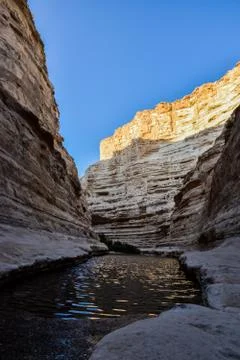 View of mountain oasis lagoon, Ein Avdat, Israel Stock Photos