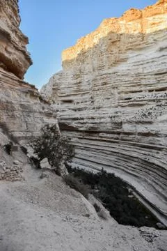 View of mountain oasis lagoon, Ein Avdat, Israel Stock Photos