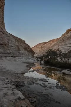 View of mountain oasis lagoon, Ein Avdat, Israel Stock Photos