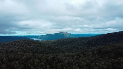 View of mountain over forrest Vídeos de archivo 251505427