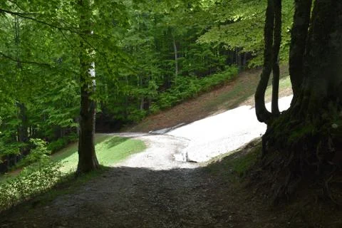 View of mountain path with last remaining snow  Stock-Fotos