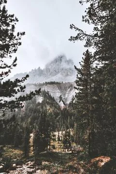 View of a mountain peak and a trees Stock Photos