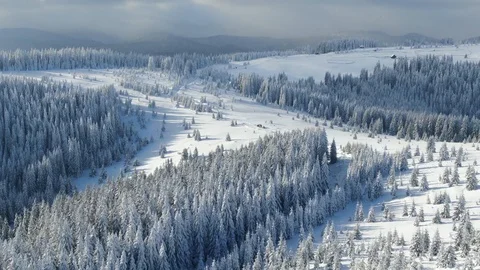 View of mountain peaks covered in deep snow. Flying over winter forest during Stock Footage 123854916