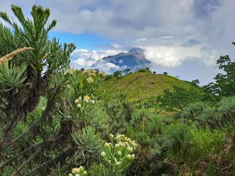 View Mountain 库存照片