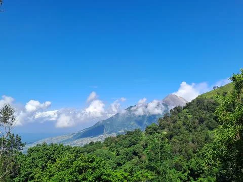 View Mountain 库存照片