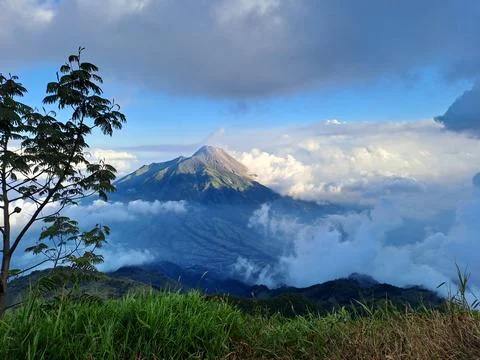 View Mountain 库存照片