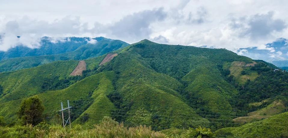 View of mountain range forest and Cloud, beautiful nature Stock Photos
