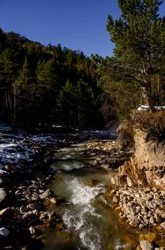 View of the mountain range from the forest Stock Photos
