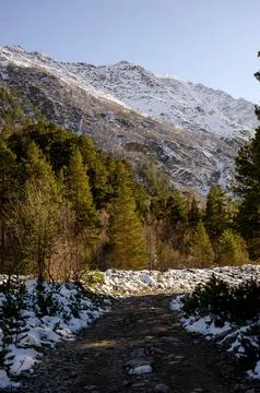 View of the mountain range from the forest Stock Photos