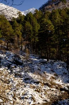 View of the mountain range from the forest Stock Photos