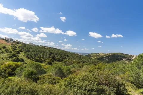 A view of a mountain range of a green forest against a dramatic back of blue sky Stock Photos