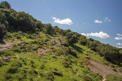 A view of a mountain range of a green forest against a dramatic back of blue sky 库存照片