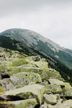 View of the mountain range through the stones Stock Photos