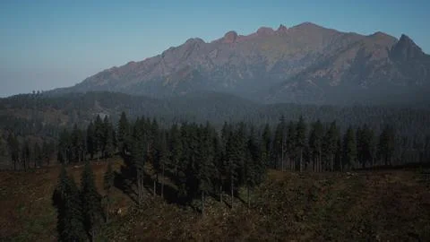 A view of a mountain range with trees in the foreground Stock Illustration