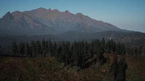 A view of a mountain range with trees in the foreground Stock Illustration