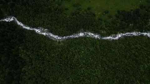 View of mountain river from above among green forest Stock Footage 307878488
