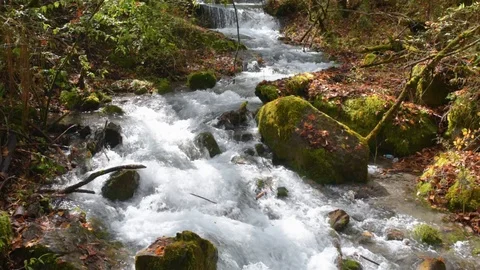 View of mountain river among mossy stones and fall woods Stock Footage 126085636