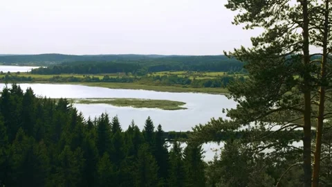 The view from a mountain to a river and forest. Enjoying the view. Stock Footage 283533786