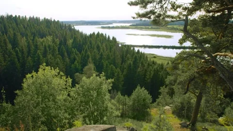 The view from a mountain to a river and forest. Enjoying the view. 스톡 동영상 283533994