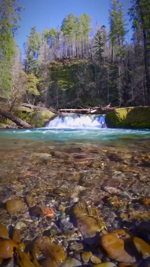 View of mountain river in autumn Stock Footage 273981274