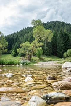 View of a mountain river between hills covered with coniferous forests against Stock-Fotos