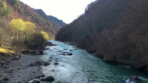 View of a mountain river with clear water Stock Footage 165772295