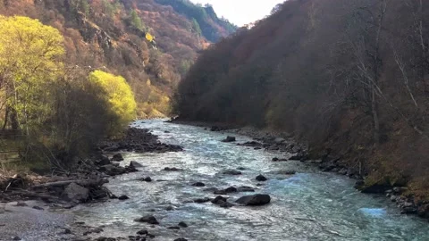 View of a mountain river with clear water Stock Footage 165772630