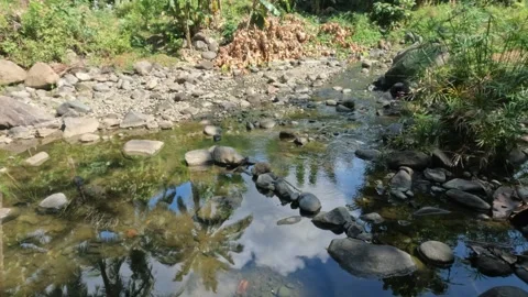 View of a mountain river with clear water in the dry season Stock Footage 321322773
