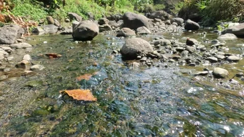 View of a mountain river with clear water in the dry season. Stock Footage 321322794
