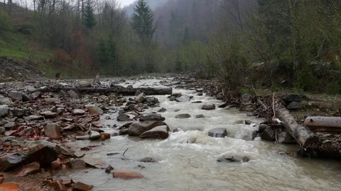 View of the mountain river during the rain. Stock Footage 75907880