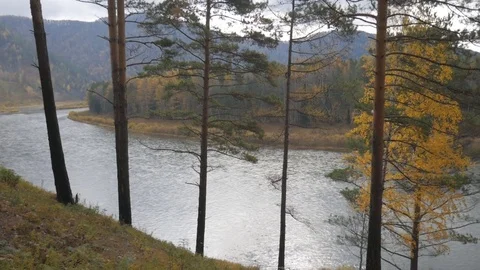 The view from the mountain river Stock Footage 81913168