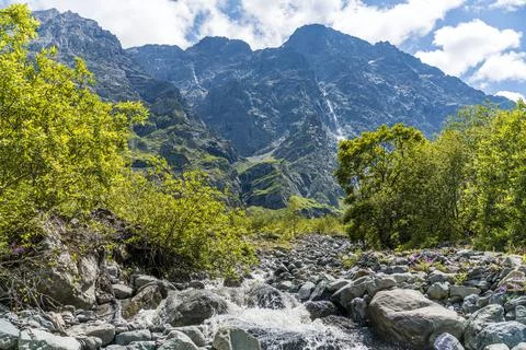 View of the mountain river in the gorge, North Ossetia, Russia. Impenetrable  Stock Photos