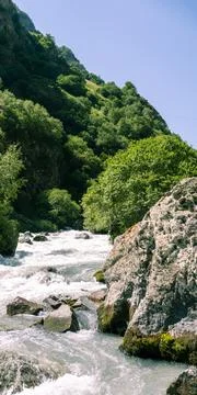 View of the mountain river in the gorge, North Ossetia, Russia. Impenetrable Stock Photos