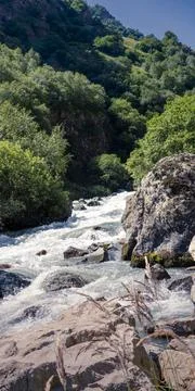 View of the mountain river in the gorge, North Ossetia, Russia. Impenetrable Stock-Fotos