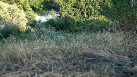 View of the mountain river from the mountain 스톡 동영상 112400106